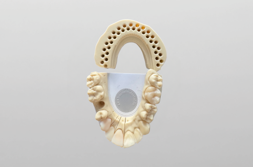 3DModell mit herausnehmbaren Segmenten